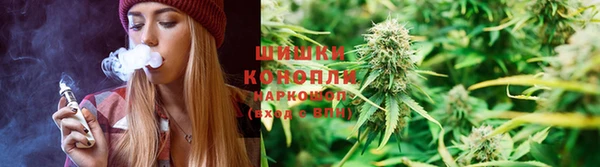 PSILOCYBIN Горняк