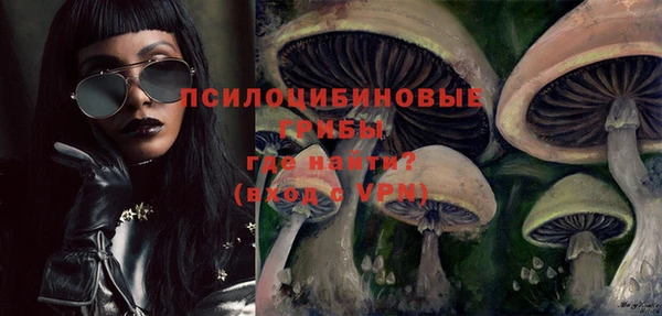 первитин Вяземский